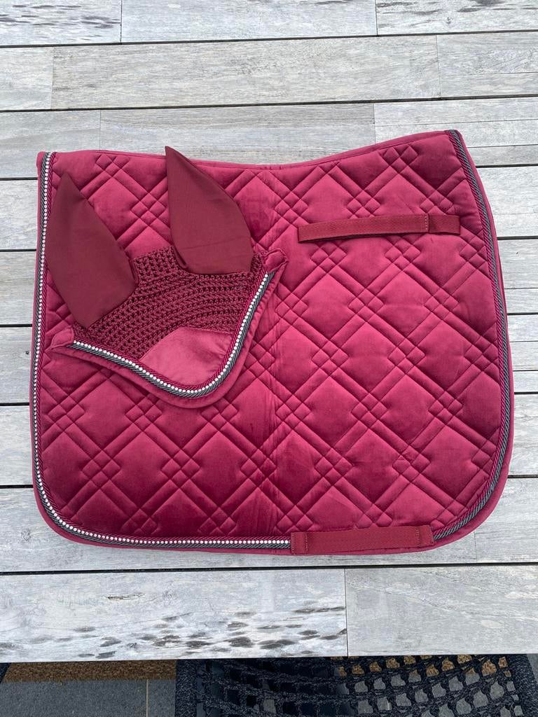 Paardenspullen te koop, Enlèvement, Neuf