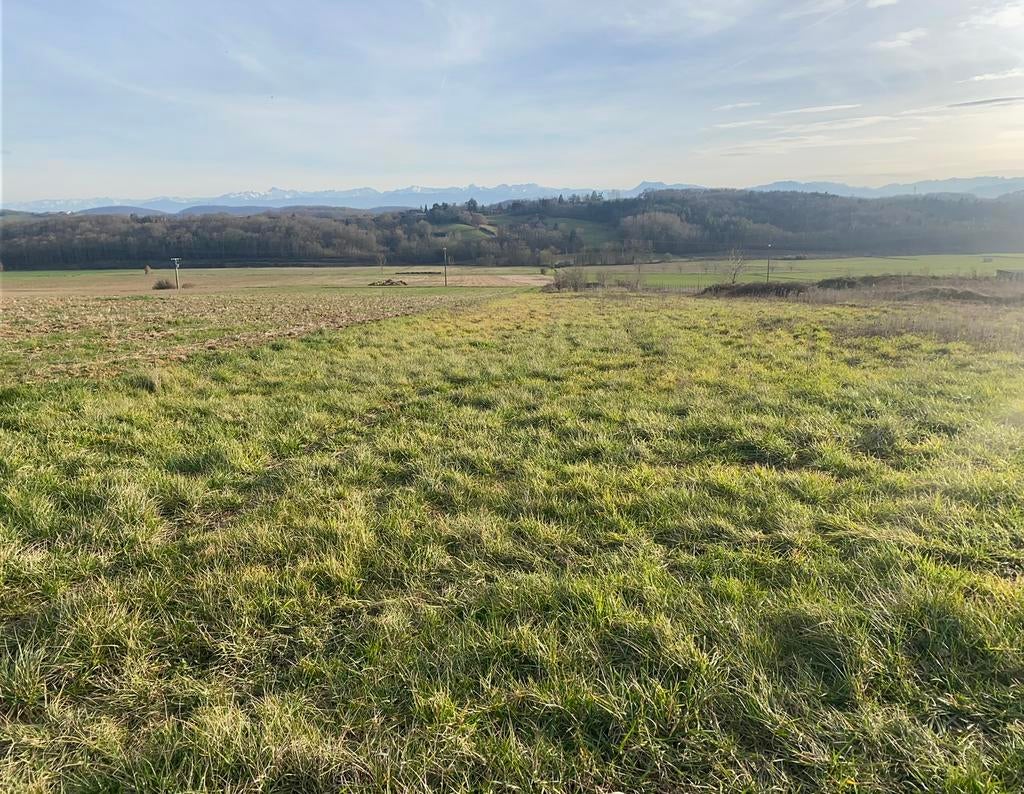 Beau terrain à bâtir dans le sud-ouest de la France, 5861 m2, Immo, Terrains & Terrains à bâtir, 1500 m² ou plus, Ventes sans courtier