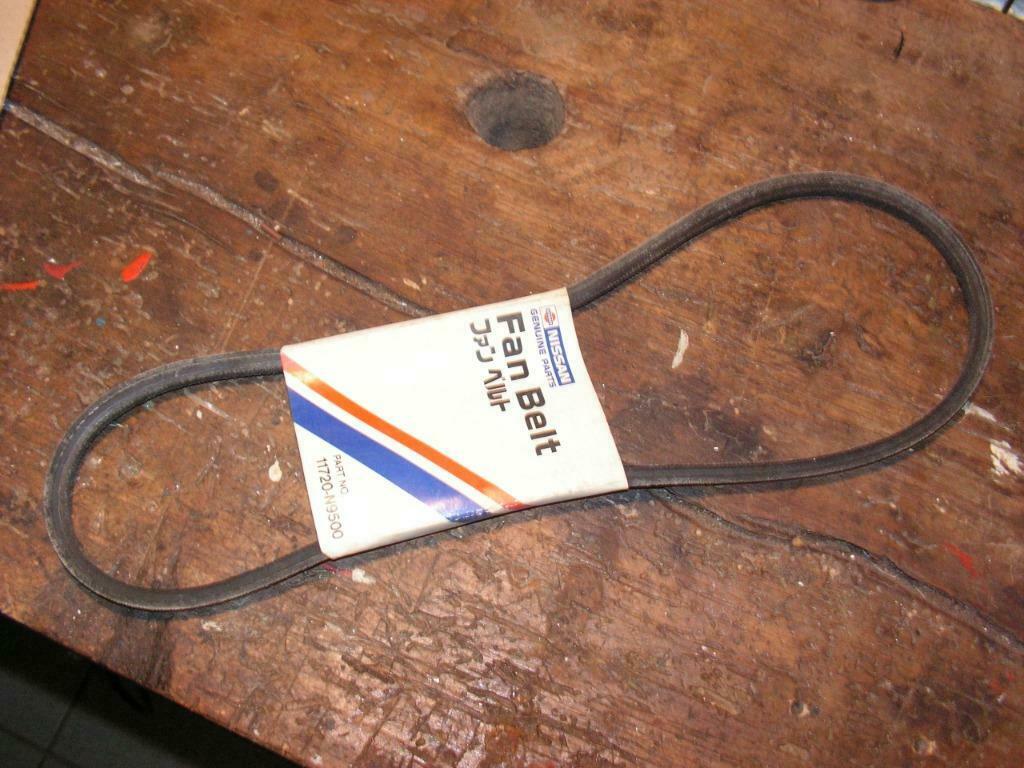 Courroie de transmission Nissan., Enlèvement ou Envoi, Neuf, Nissan