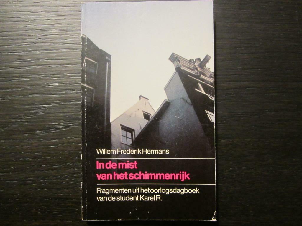 In de mist van het schimmenrijk (Willem Frederik Hermans), Ophalen of Verzenden, Gelezen