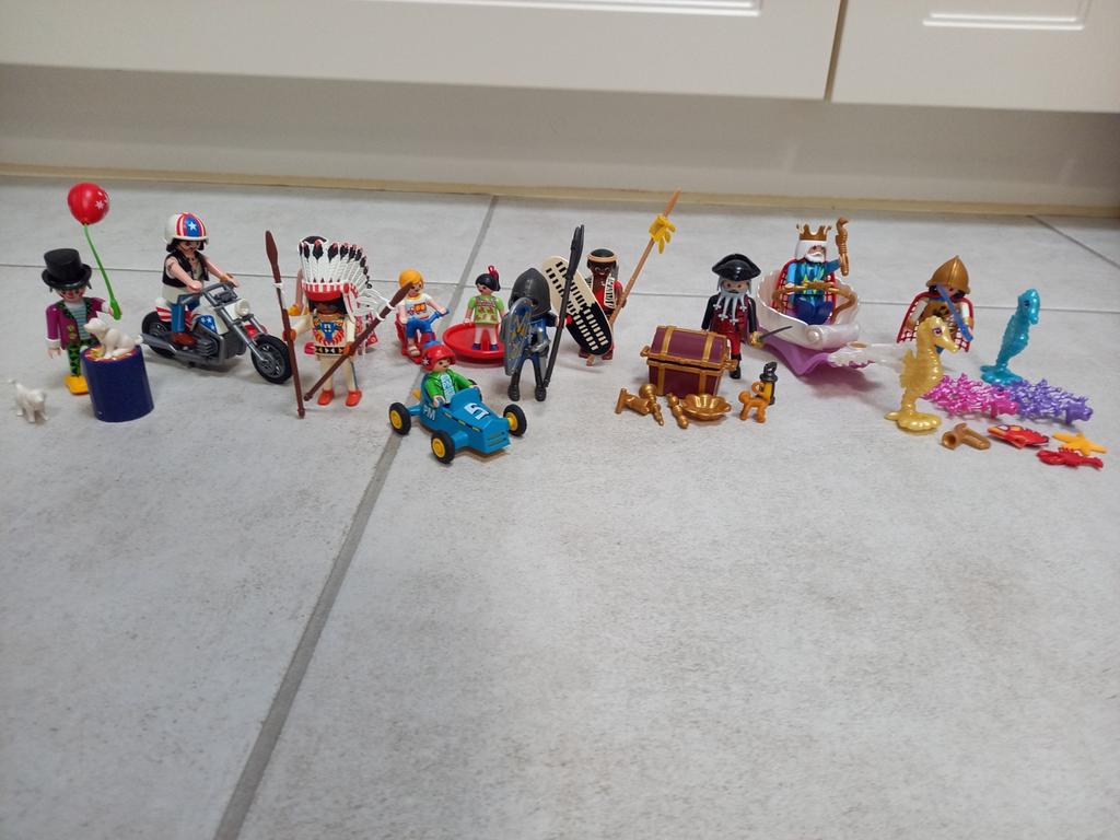 Playmobil-set, Ophalen of Verzenden, Gebruikt