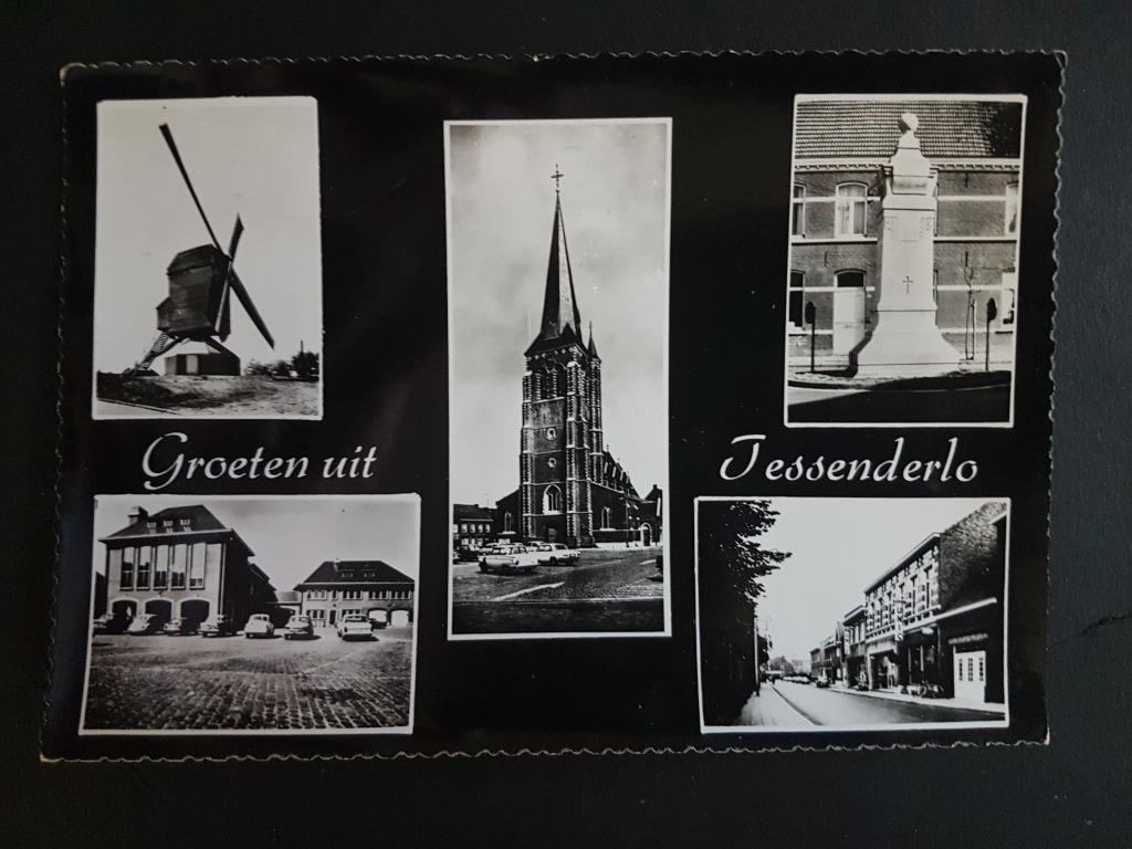 Postkaart Groeten uit Tessenderlo Tessenderloo Molen, Ophalen of Verzenden, 1940 tot 1960, Ongelopen, Limburg