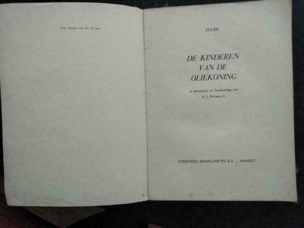 De kinderen van de oliekoning, Ophalen of Verzenden, Gelezen, Jules, Fictie