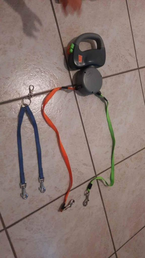 Dual doggy, Ophalen, Nieuw