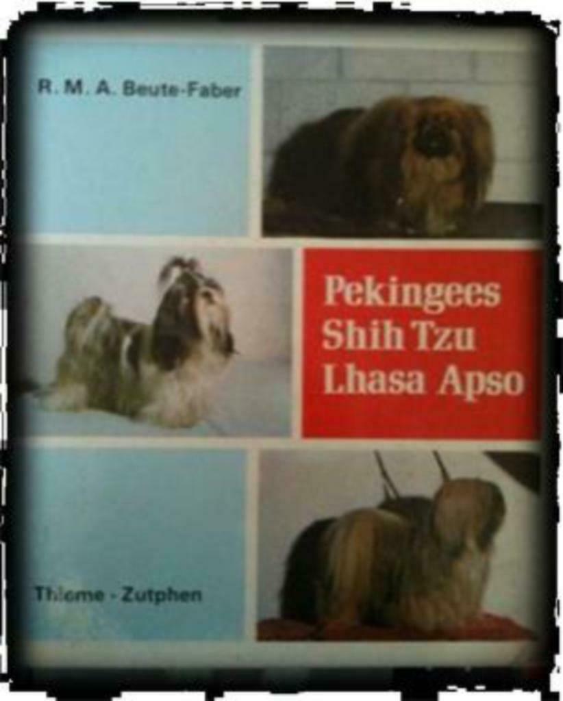 Pekingees, Shih Tzu, Lhasa Apso, Enlèvement ou Envoi, Utilisé, Chiens