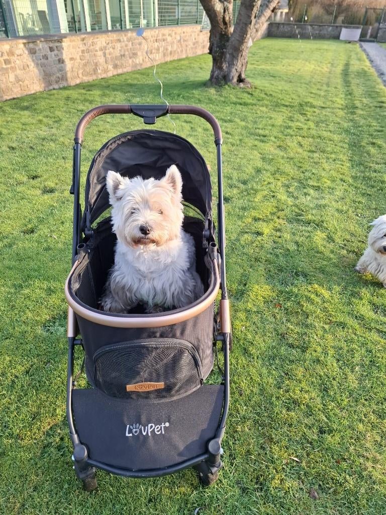 Lovpet poussette pour chien, Enlèvement, Comme neuf