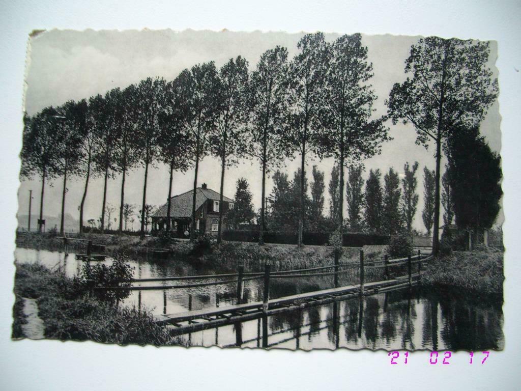 Postkaart : Avelgem Oude Schelde, Envoi, Affranchie, Flandre Occidentale