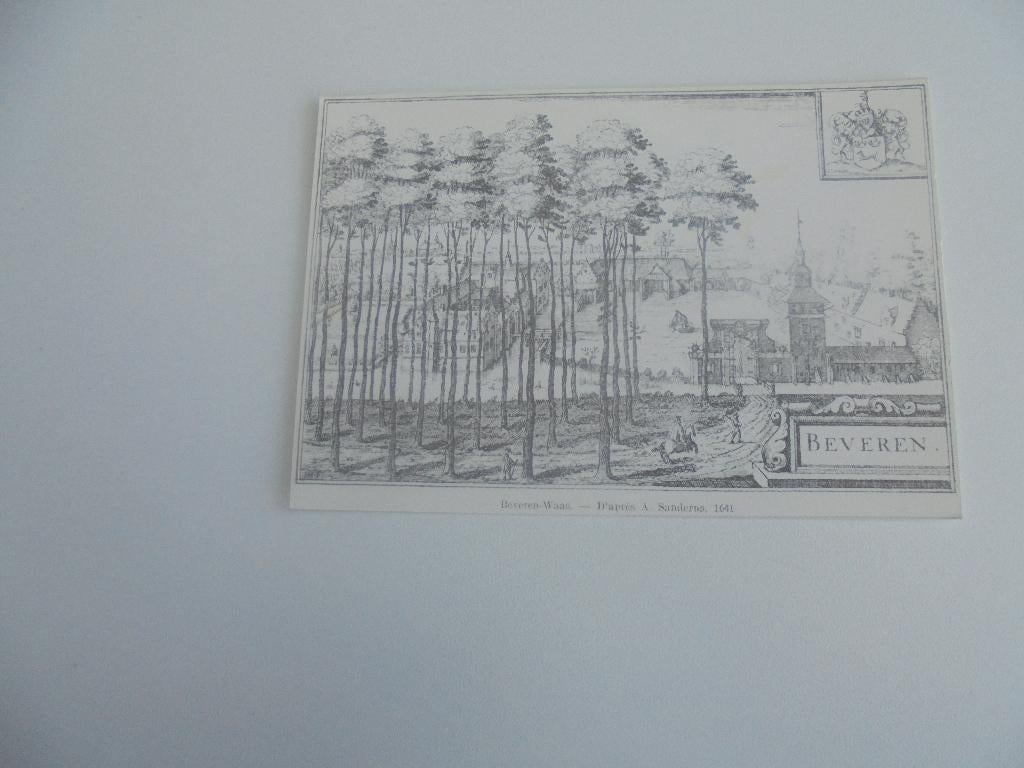 beveren-kasteel, Verzamelen, Postkaarten | België, Ophalen of Verzenden, 1940 tot 1960, Ongelopen, Oost-Vlaanderen