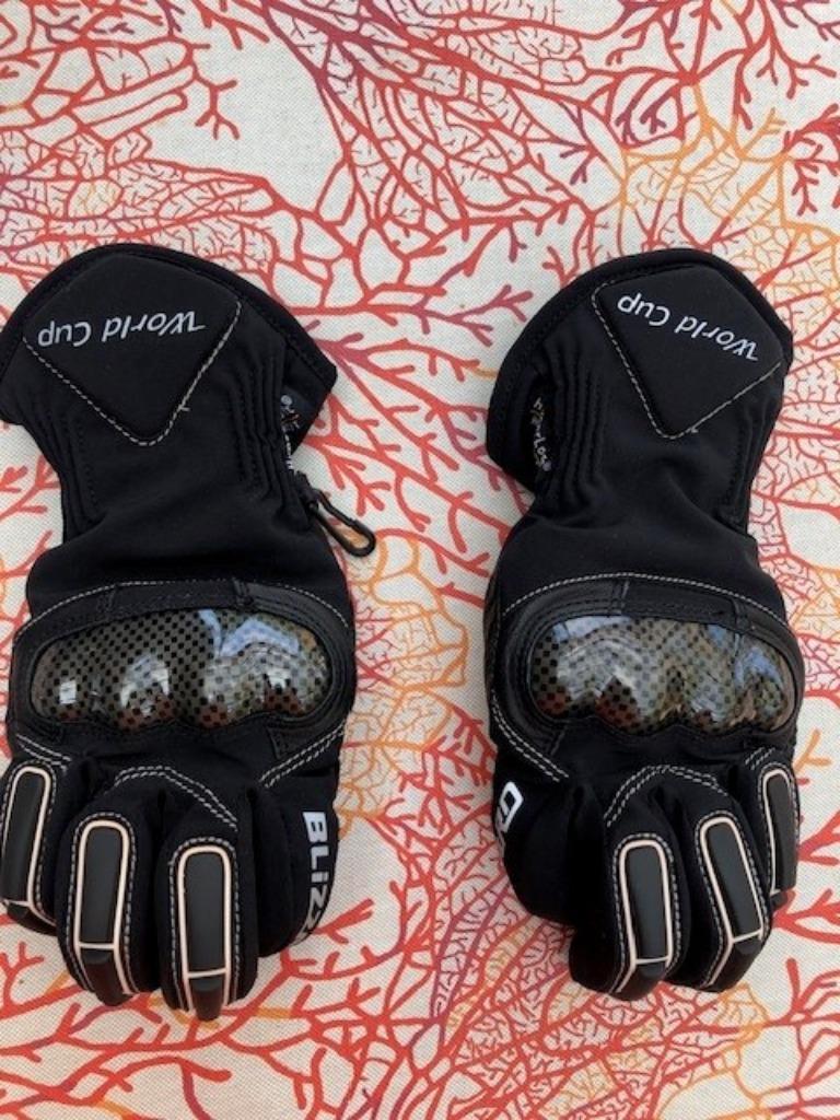 Skihandschoenen, Overige typen, Zo goed als nieuw, Ski, Ophalen