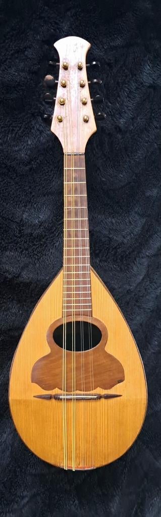 Mandoline Napolitaine Raffaele Tieri, Musique & Instruments, Instruments à corde | Mandolines, Enlèvement