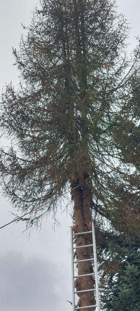bomen vellen, Ophalen of Verzenden, Gebruikt