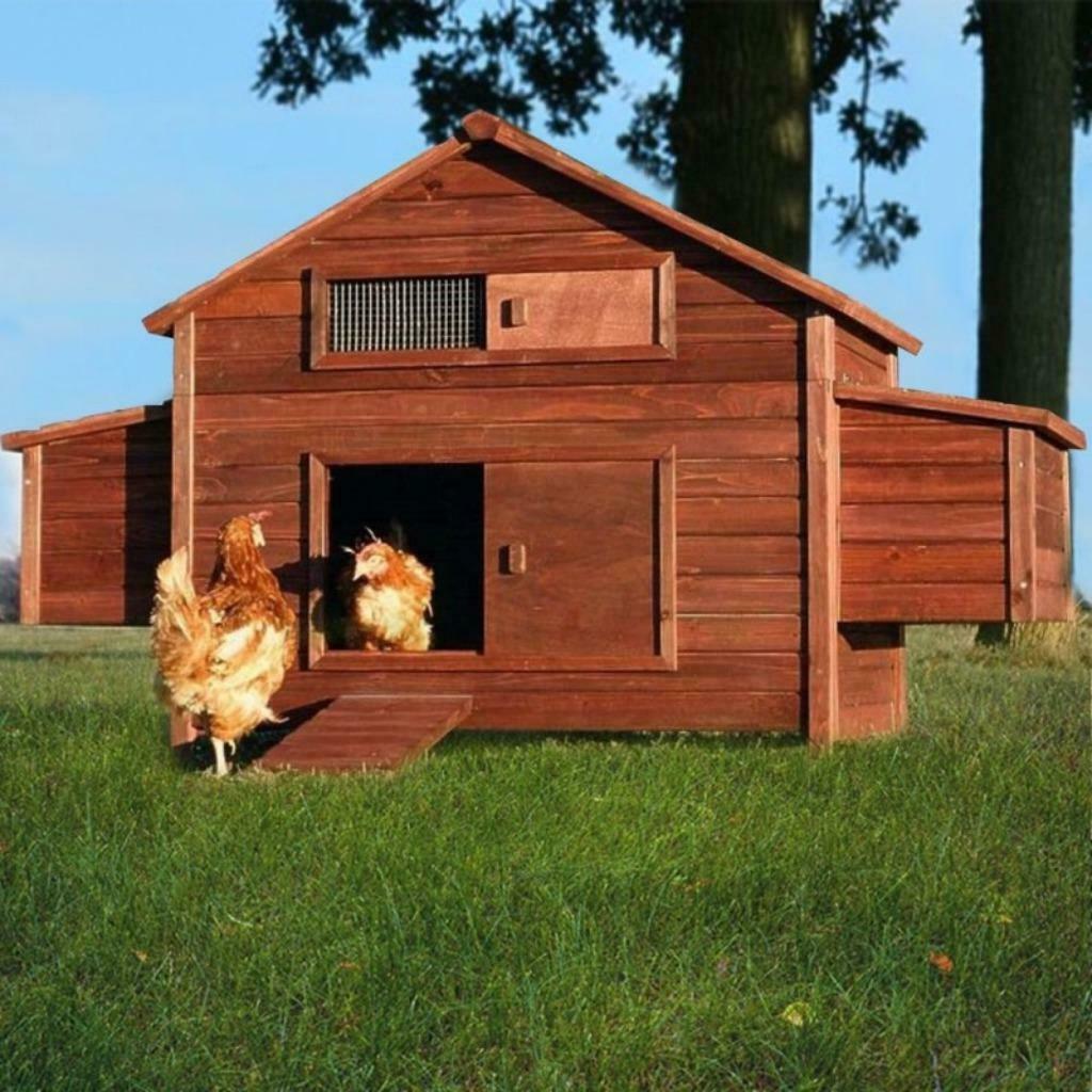 Poulailler Poitiers poulailler XXL abri 8 poules caille coq, Verzenden, Nieuw, Kippenhok of Kippenren