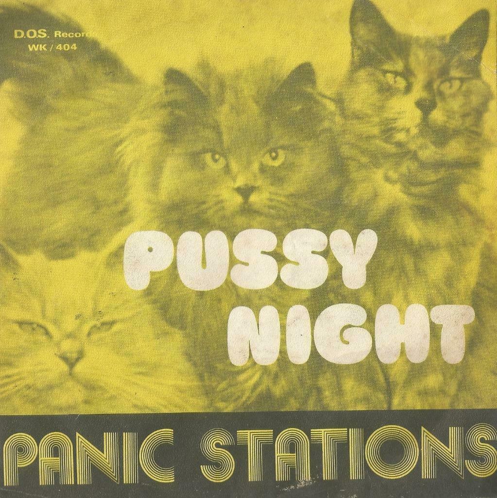 Panic Stations – Pussy night – Single, Gebruikt, 7 inch, Single, Ophalen of Verzenden