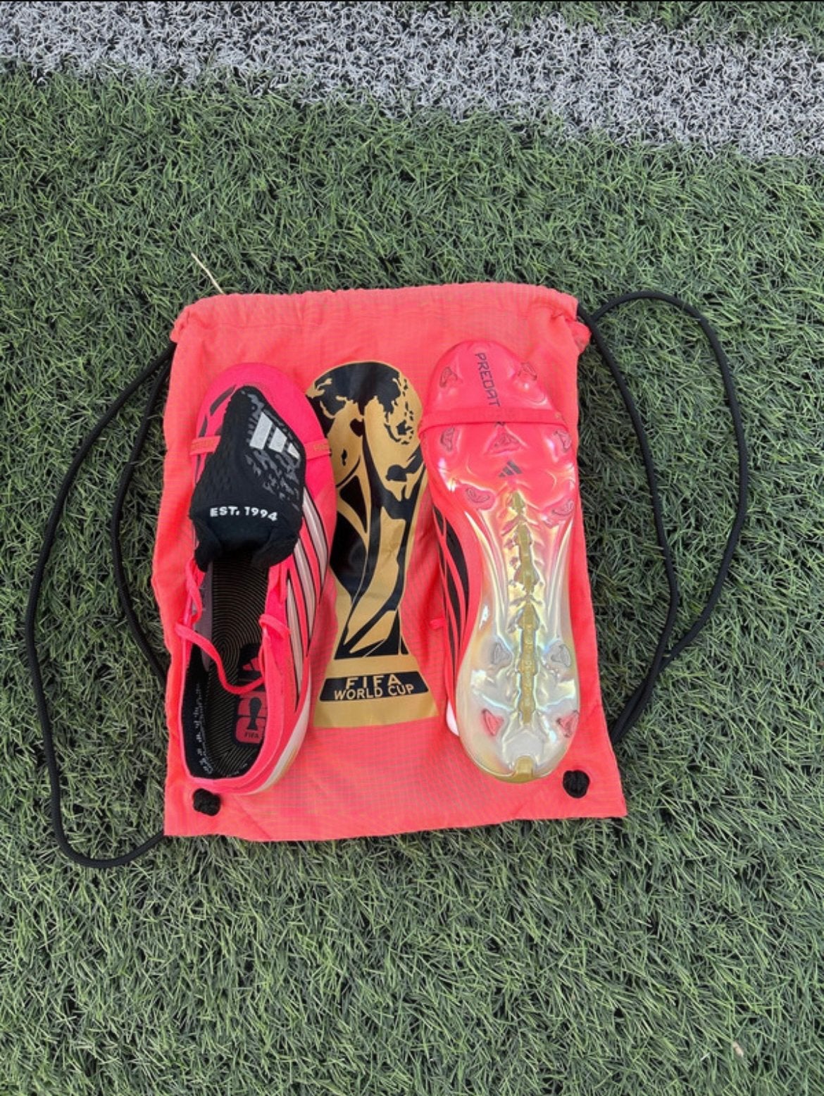 Édition de la coupe du monde Addidas Predator Elite, Enlèvement ou Envoi, Comme neuf, Chaussures