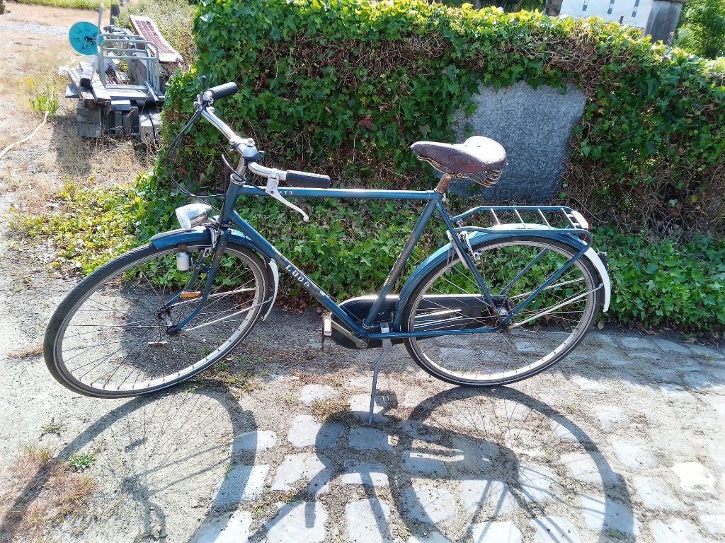 FIETS LUDO, Vitesses, Frein sur jante, Enlèvement, 53 à 57 cm