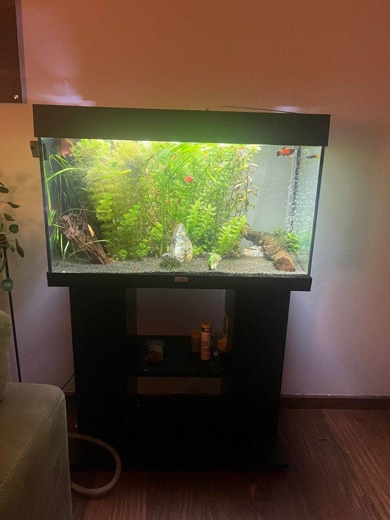 Juwel RIO 125 aquarium, Dieren en Toebehoren, Gebruikt, Leeg aquarium, Juwel, Ophalen