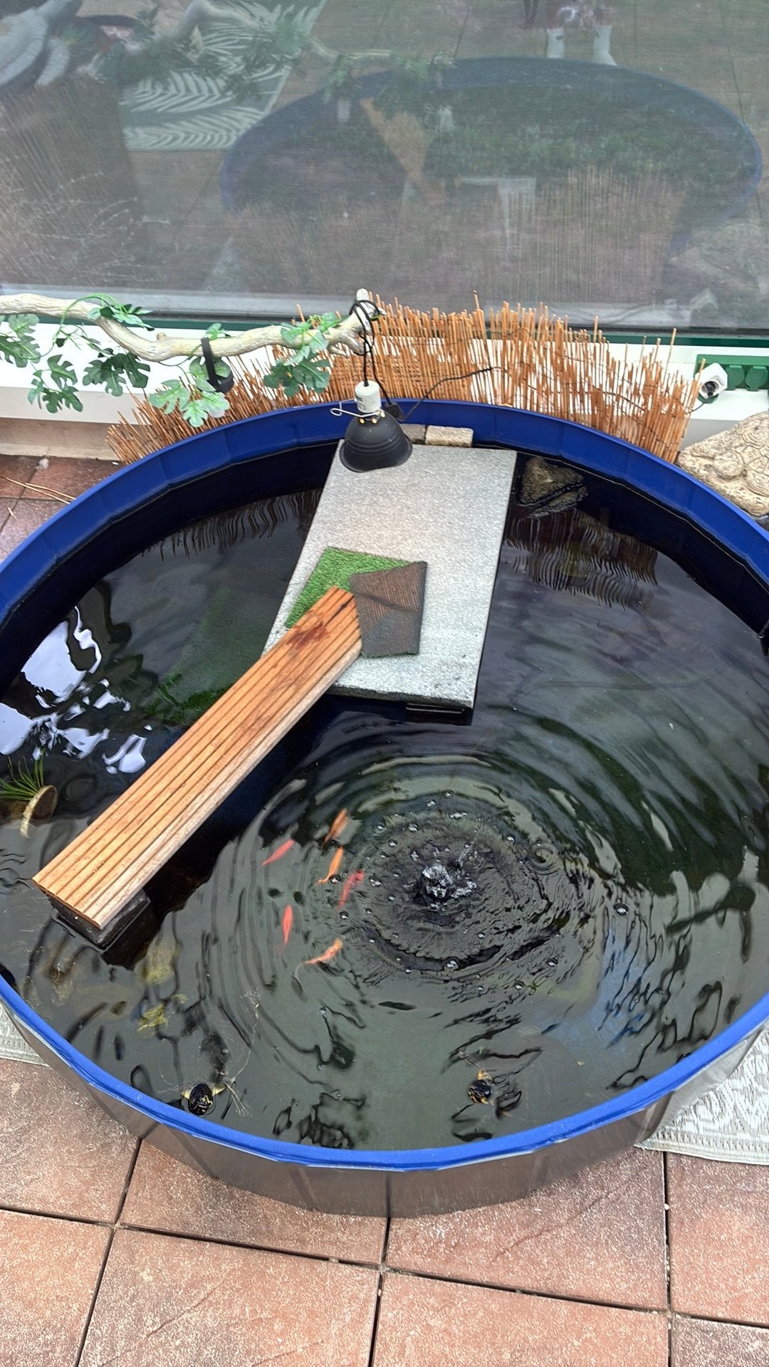 Schildpadden  verblijf met schildpadden en vissen, Ophalen, Zo goed als nieuw