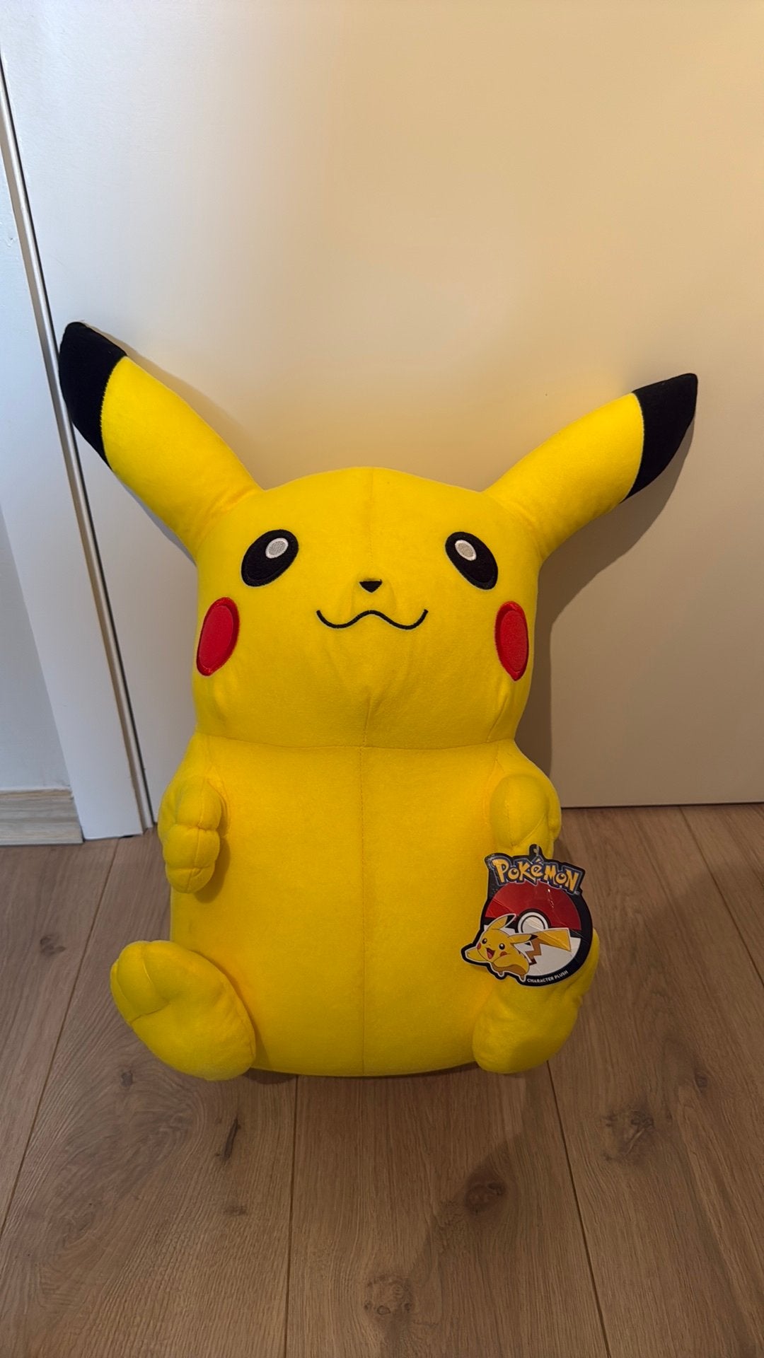 Peluche Pikachu, Enlèvement, Comme neuf