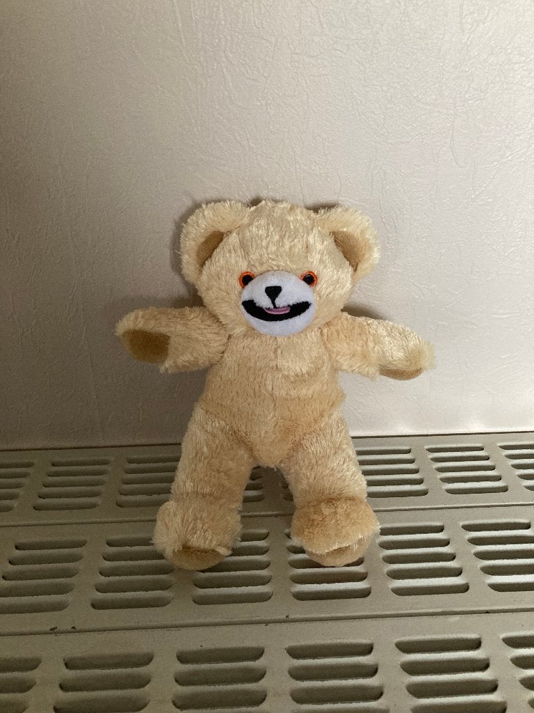 Knuffel klein Robijntje, H=ci 20 cm (nieuw), Kinderen en Baby's, Speelgoed | Knuffels en Pluche, Overige merken, Beer, Nieuw, Ophalen of Verzenden