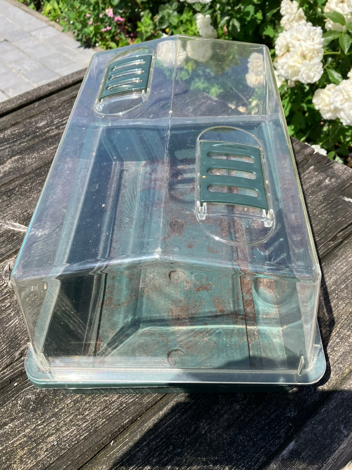 Armoire de culture et tablettes en fibre de coco, Jardin & Terrasse, Enlèvement, Utilisé