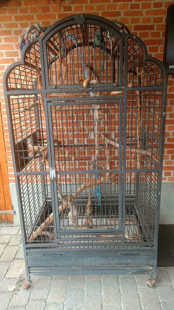 grote papegaaienkooi 200 euro, Dieren en Toebehoren, Papegaai