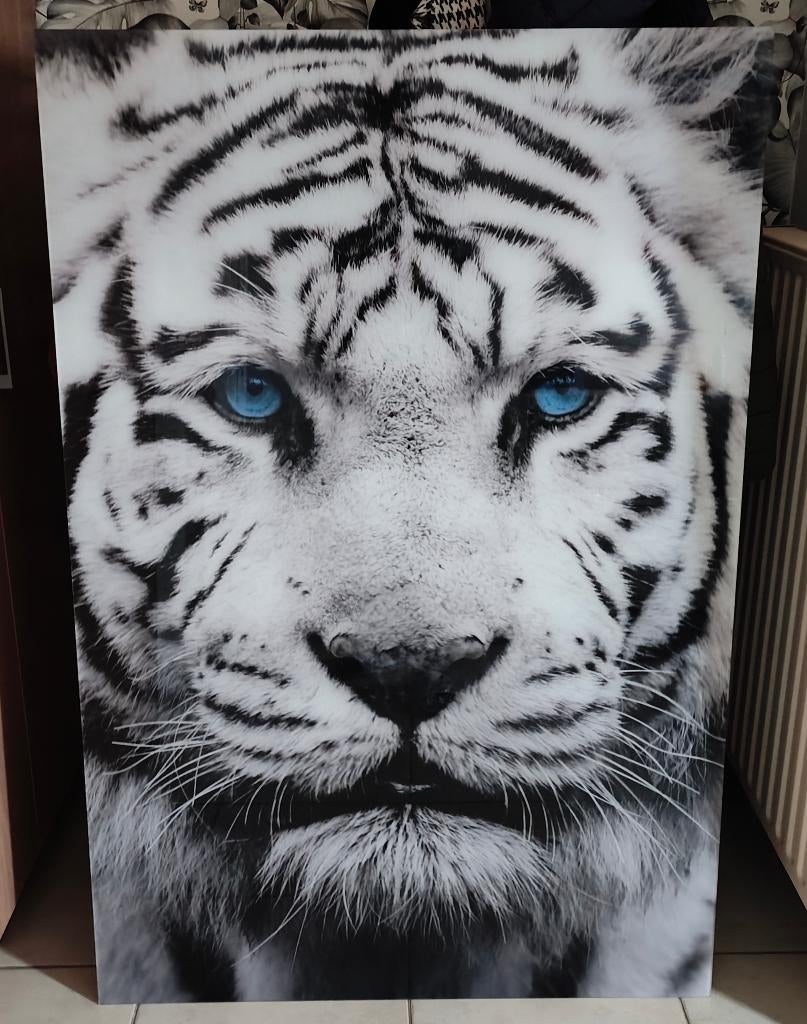 Canvas witte tijger op plexiglas - 150 x 100 cm, Ophalen, Zo goed als nieuw, 75 tot 100 cm, 75 cm of meer
