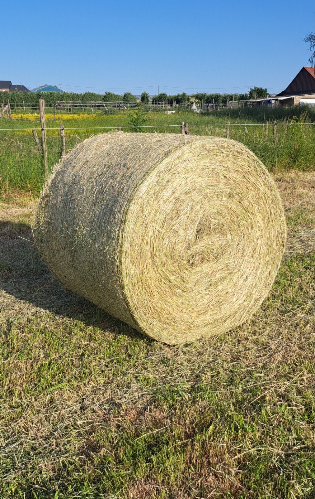Grote balen hooi te koop, Ophalen