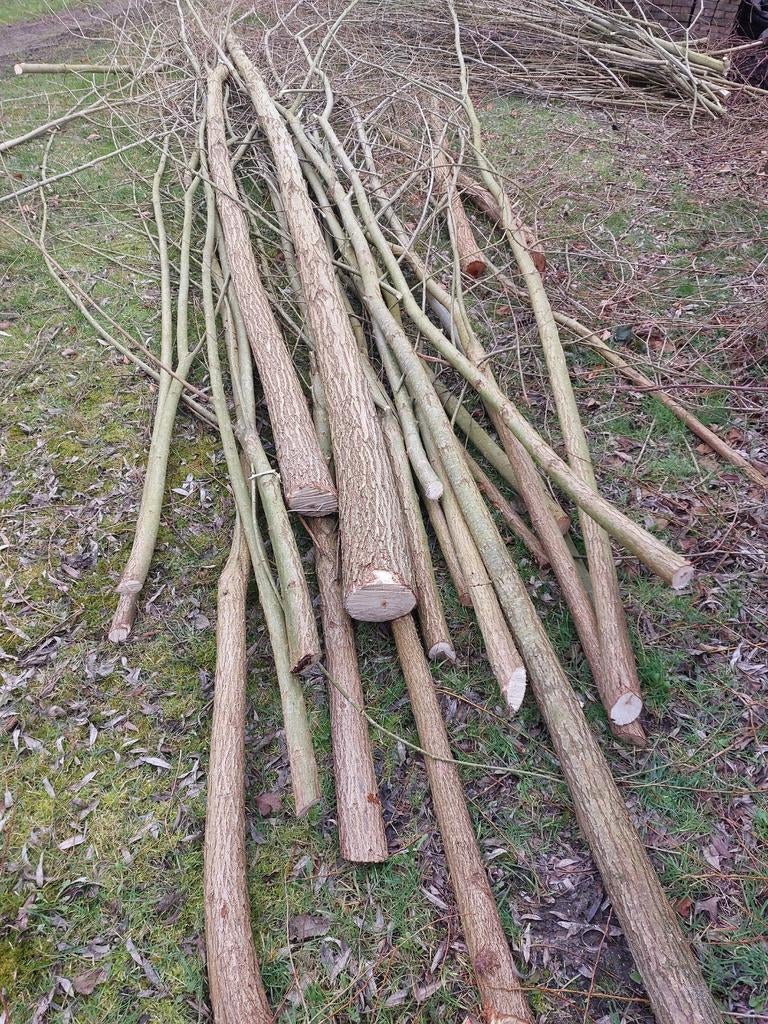 Wilgentakken, Tuin en Terras, Ophalen