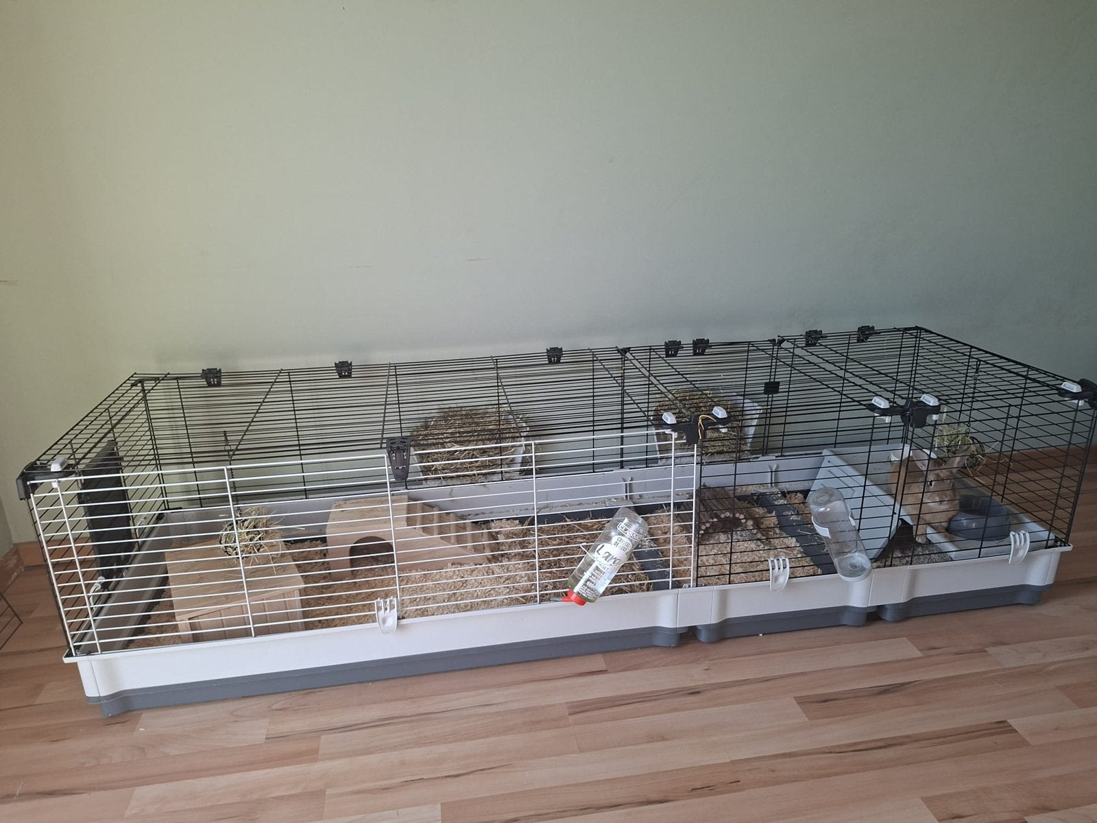 Konijnenhok/ cavia hok, Cobaye, Niche, Moins de 60 cm, Comme neuf