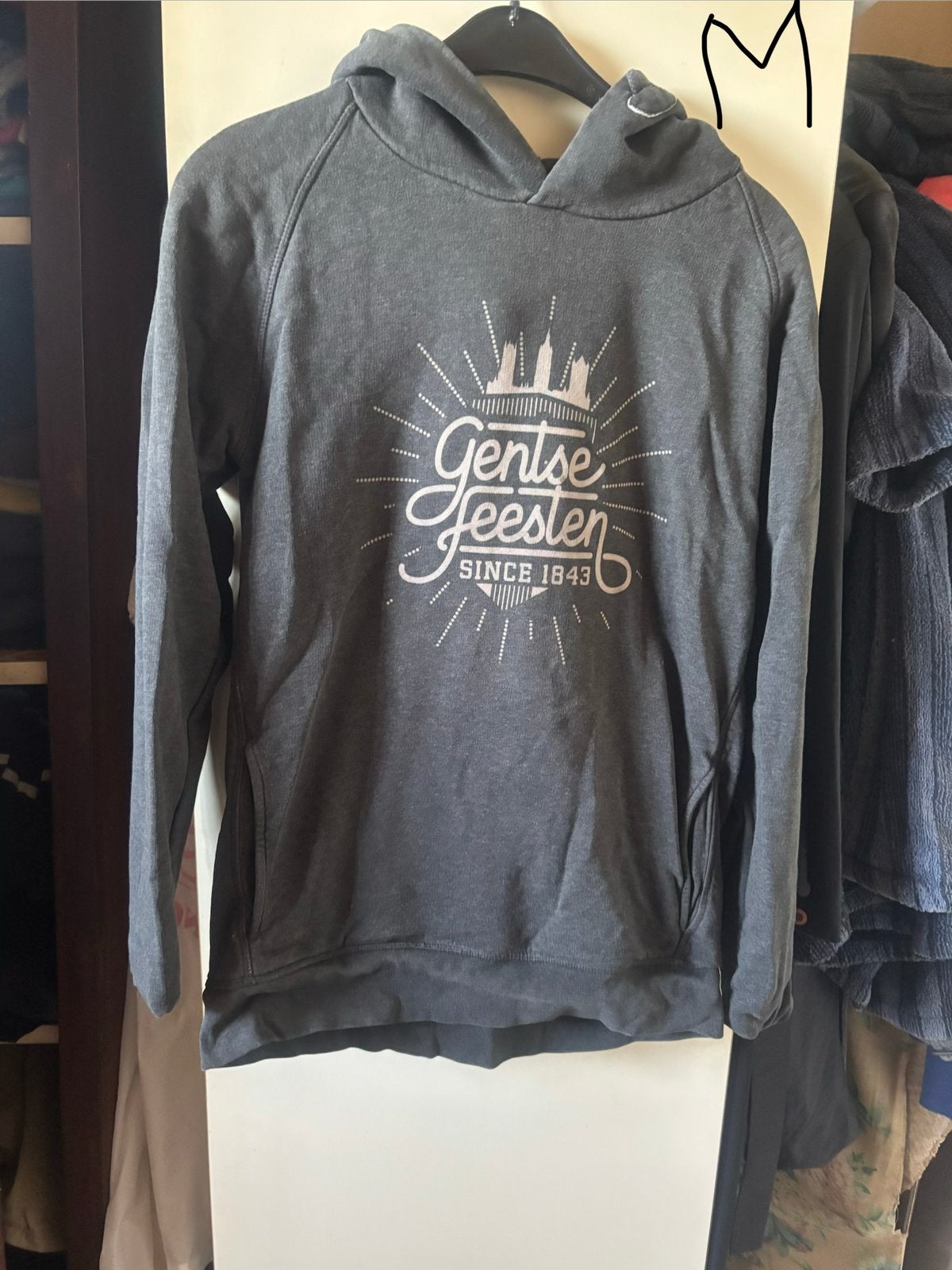 pull gentse feesten, Enlèvement ou Envoi, Porté, Taille 38/40 (M), Noir