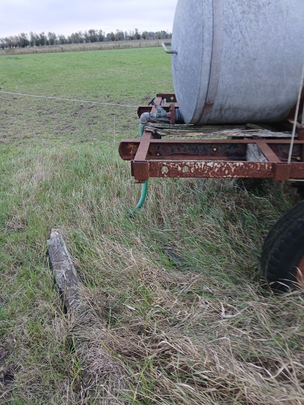 waterton, Dieren en Toebehoren