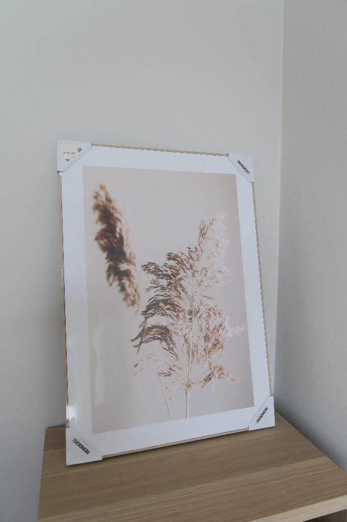 Ingelijste print Pampas zaad - Reinders, Ophalen of Verzenden, Nieuw, 50 tot 75 cm, 50 tot 75 cm