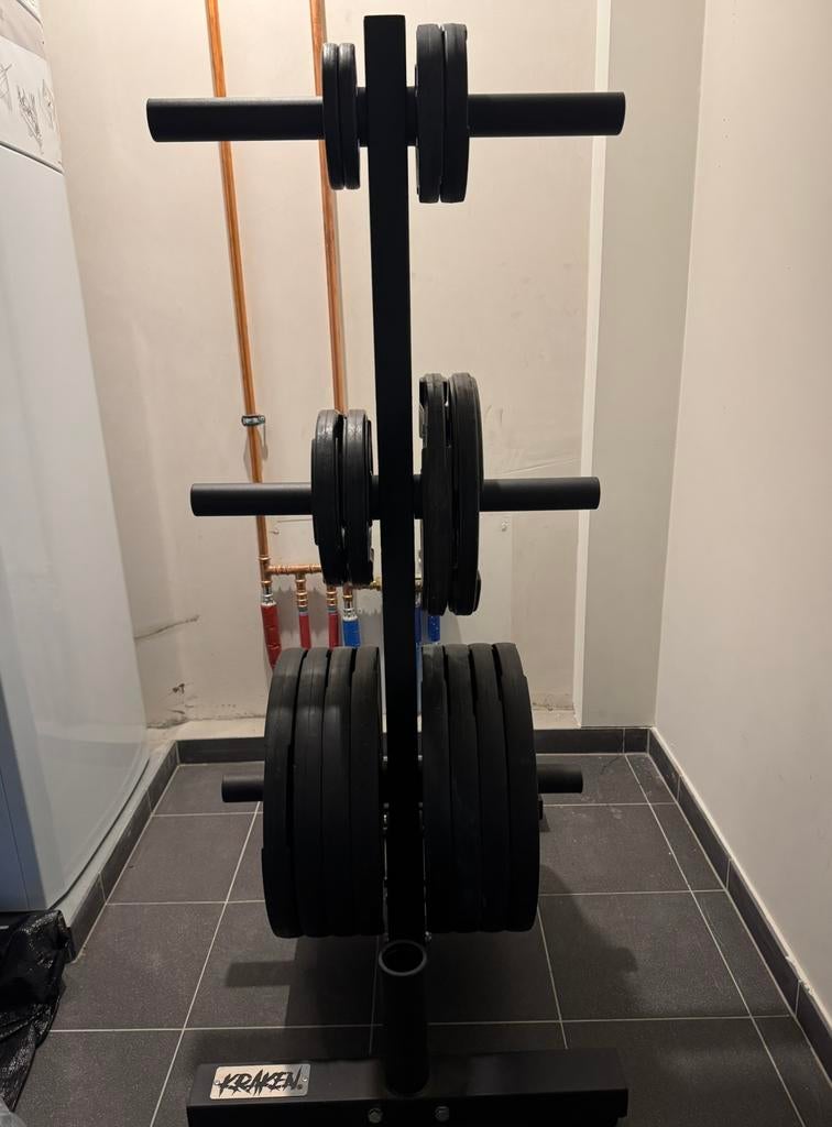 Halterschijven plate set (technogym + inclusief halterrek), Sport en Fitness, Ophalen, Zo goed als nieuw, Halterschijven