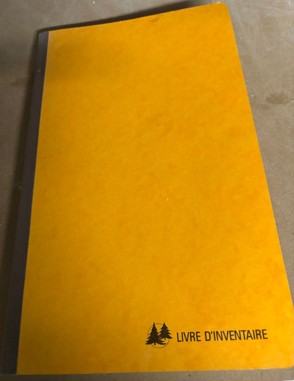 Livre d’inventaire exacompta . 7400X . Neuf, Enlèvement ou Envoi