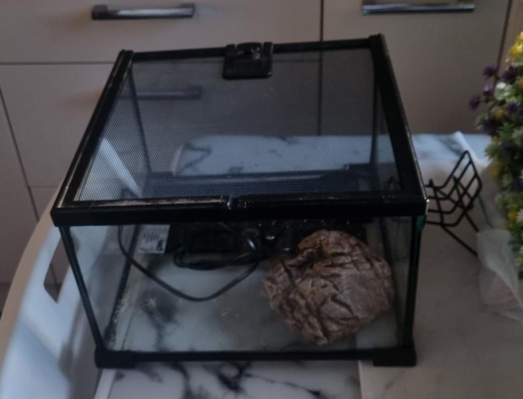 Cage pour serpent, Enlèvement