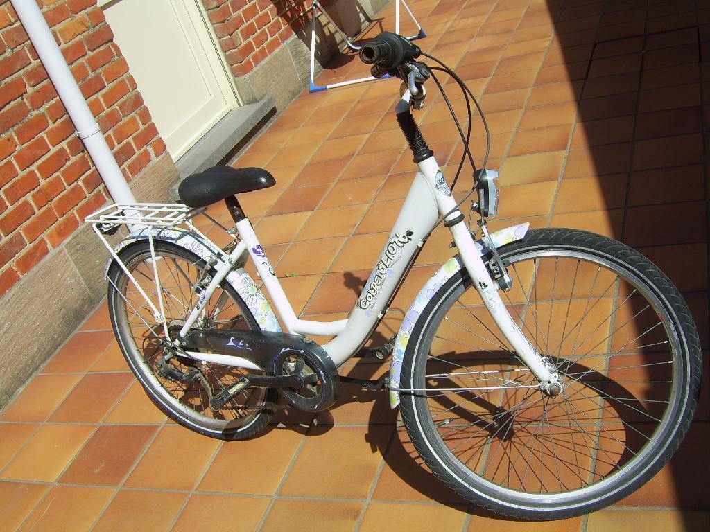 Meisjesfiets Golden Lion 24'', Ophalen, Velgrem, Versnellingen, Golden Lion
