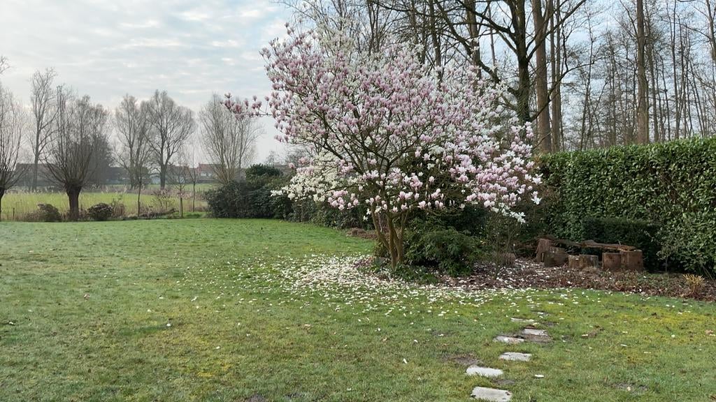 Tuinhulp gevraagd in Arendonk, Ophalen