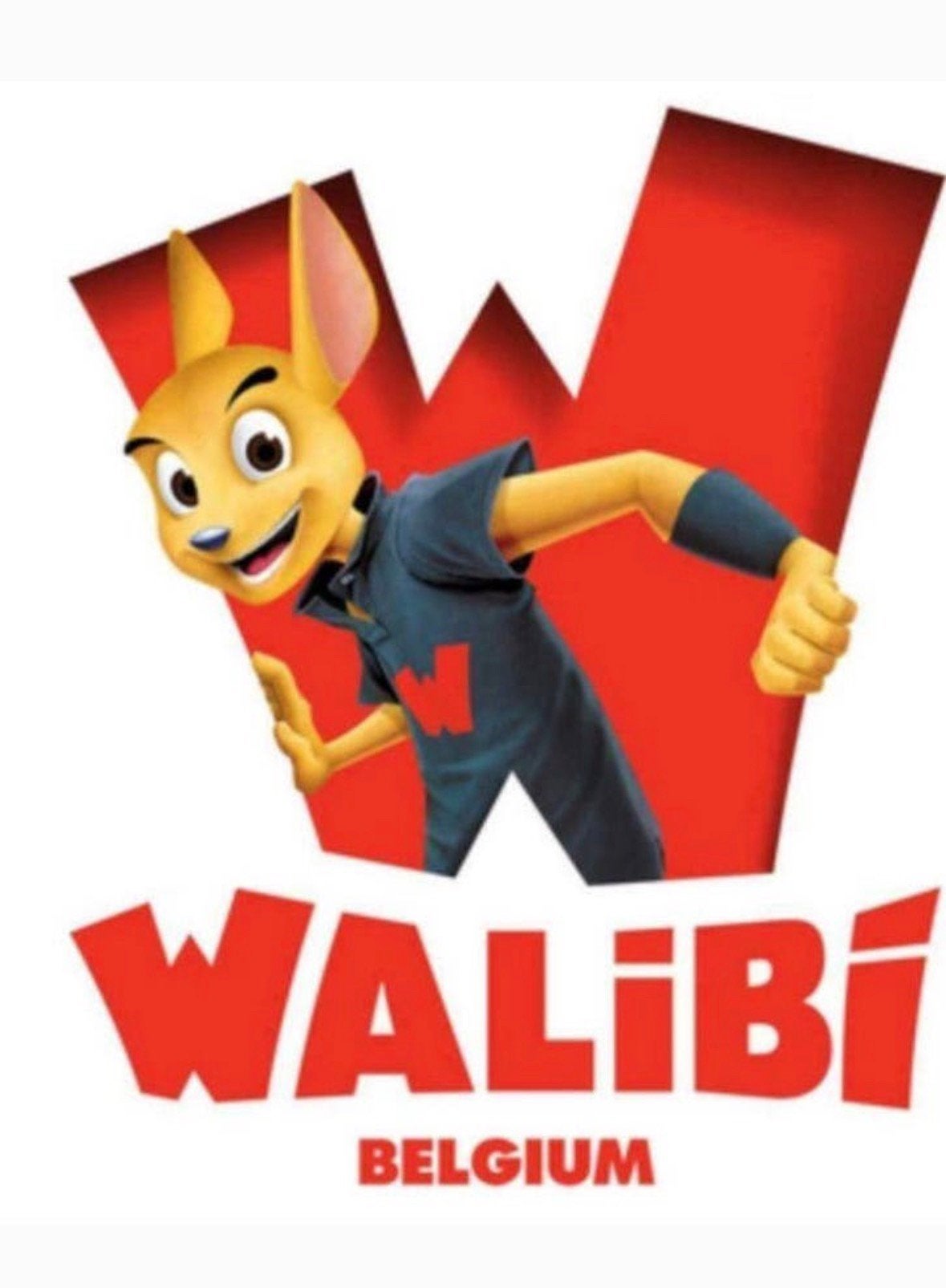 Walibi tickets 25 euro/ticket, Tickets en Kaartjes