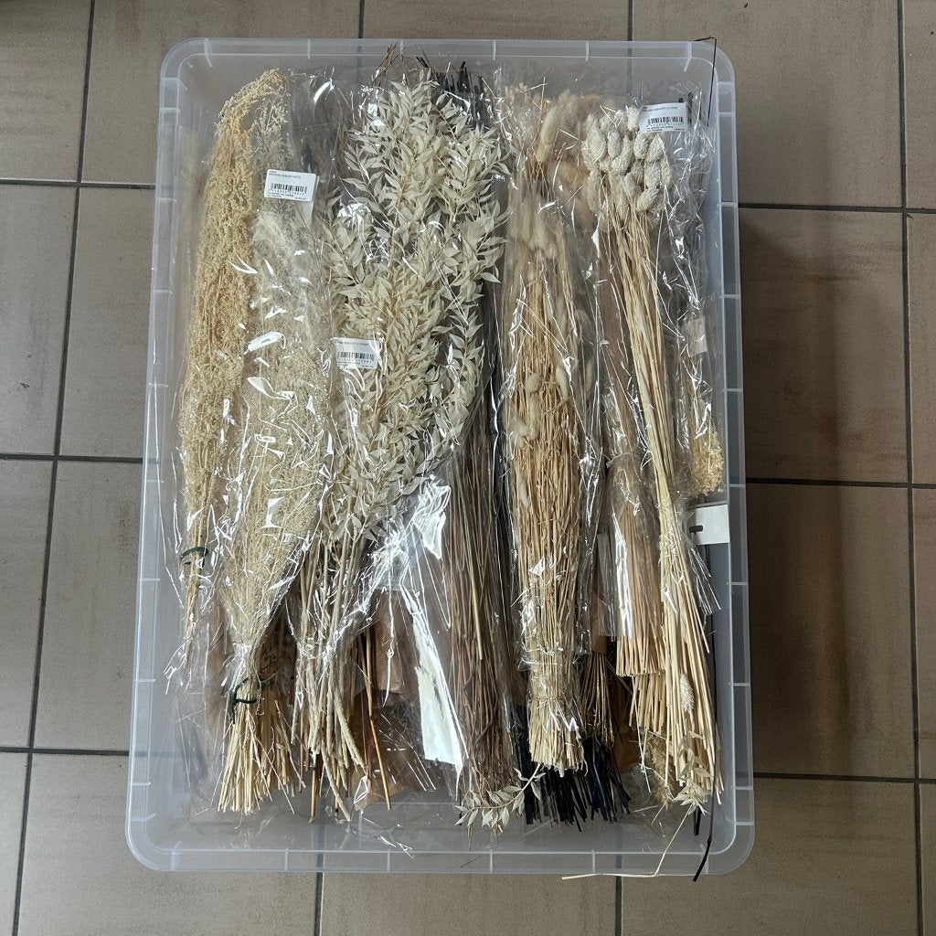 Professioneel lot droogbloemen + 3 IKEA SAMLA opbergboxen, Ophalen, Nieuw