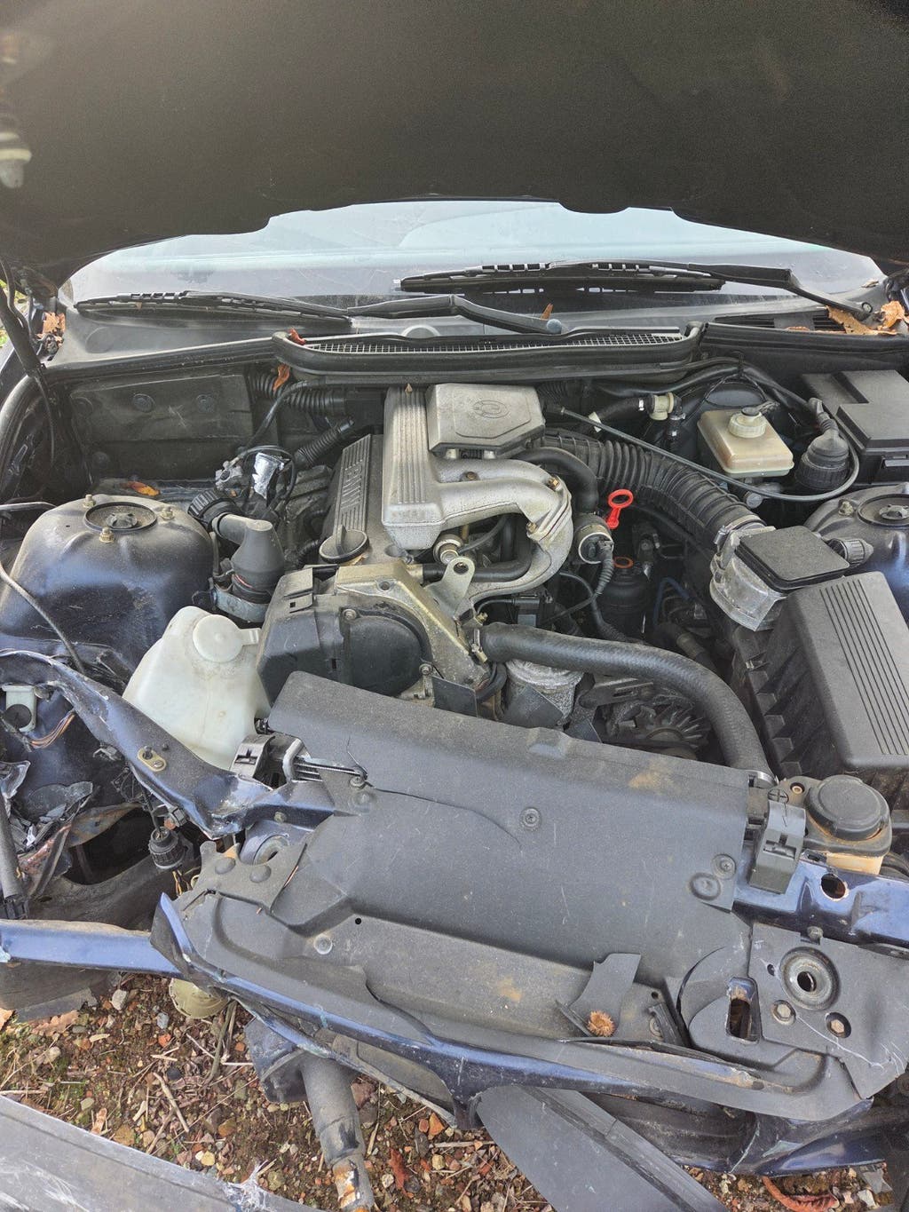 bmw e36 316i, foto 12
