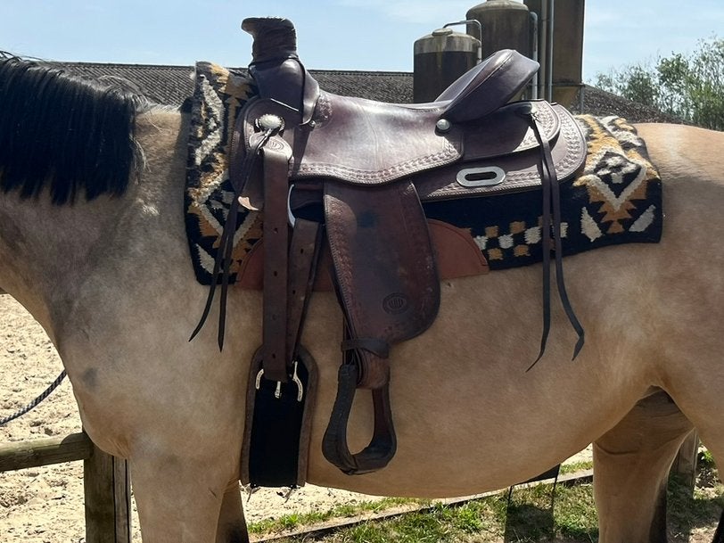 Westwood zadel Roper 16QH, Dieren en Toebehoren, Paarden en Pony's | Zadels, Ophalen, Gebruikt, Overige disciplines