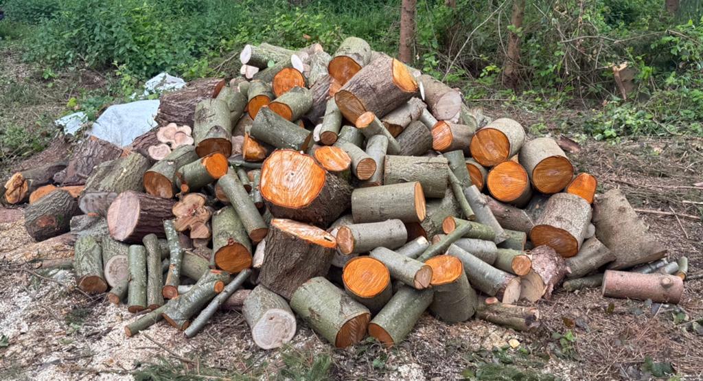 Brandhout, Tuin en Terras, Brandhout, Ophalen