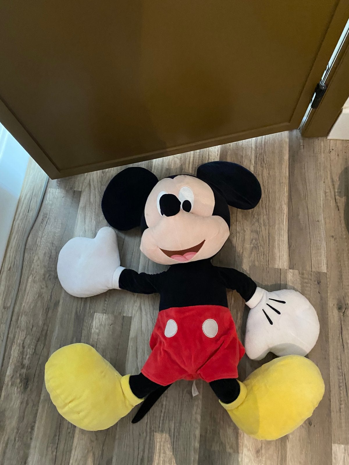 Knuffels, Ophalen, Gebruikt, Disney, Middelgroot (20 tot 80 cm)