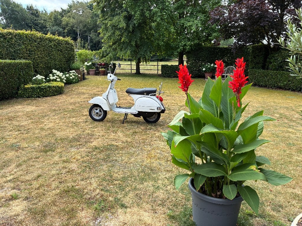 Vespa PX 125 1e eigenaar een van de laatst afgeleverde Vespa, Motoren, Motoren | Piaggio, Nieuw, Particulier, 125 cc, Handgeschakeld