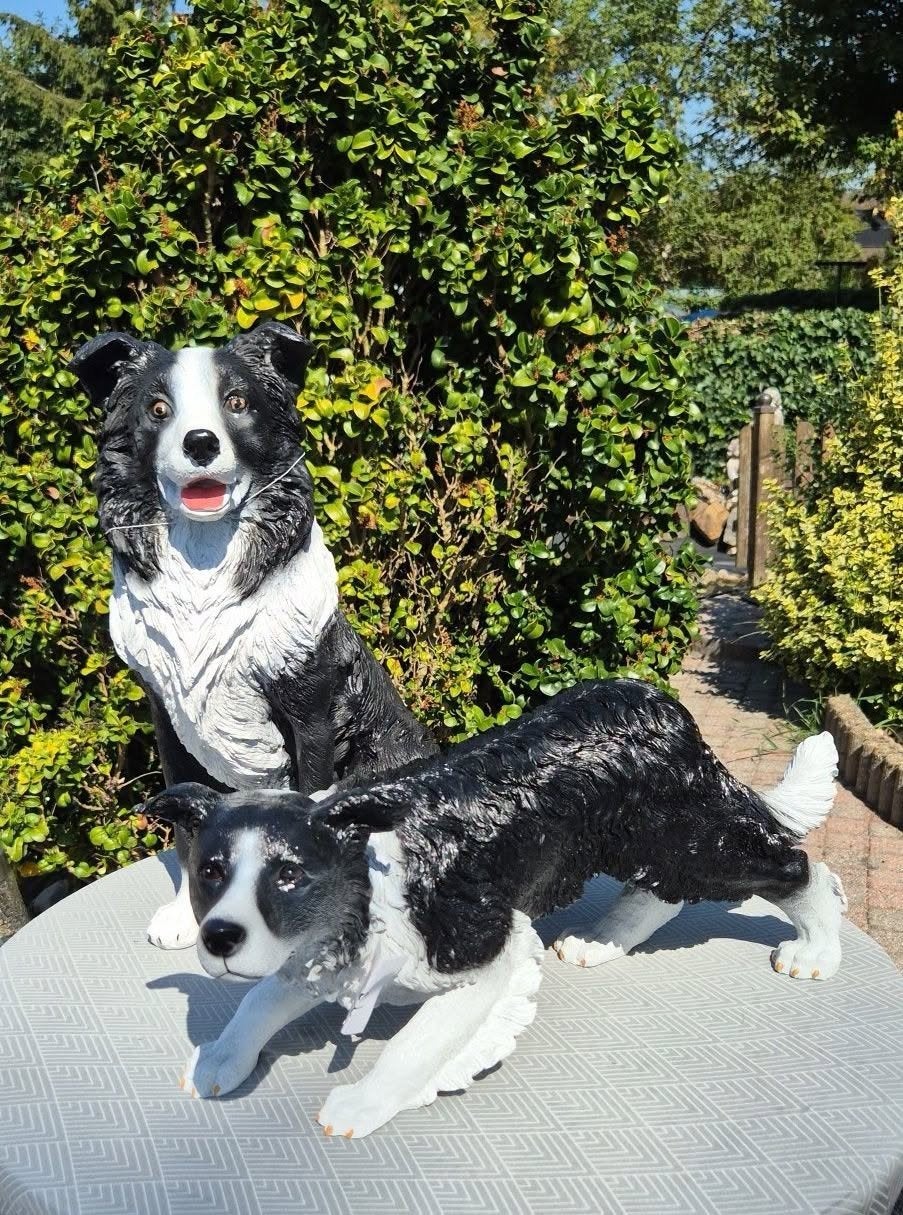 border collie beelden, Enlèvement ou Envoi, Neuf, Synthétique, Animal
