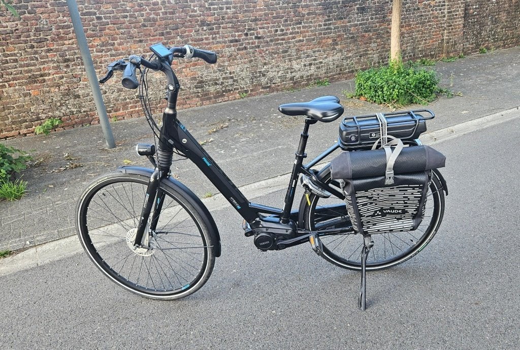 Elektrische fiets Giant - 2 fietsbatterijen, Fietsen en Brommers, Ophalen, 50 km per accu of meer, Giant
