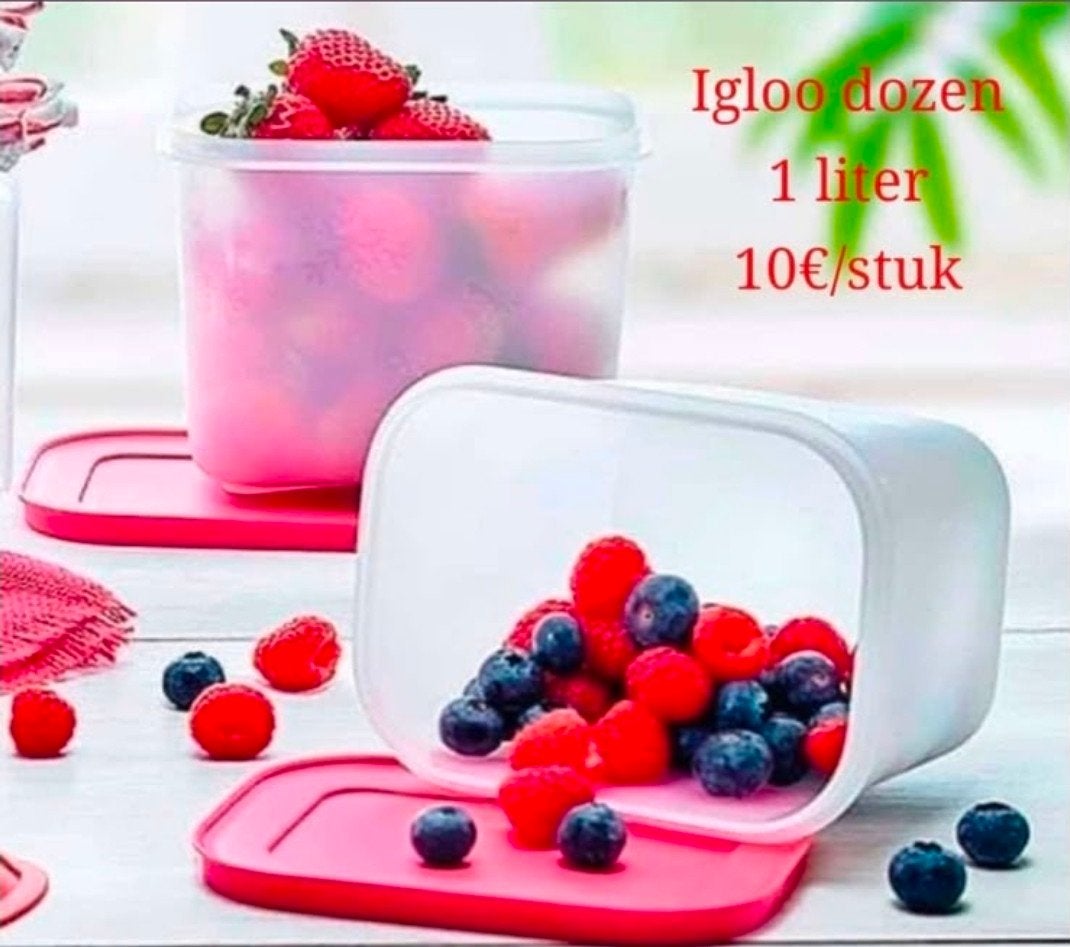 Tupperware igloo doos 1,1 liter, Ophalen of Verzenden, Nieuw