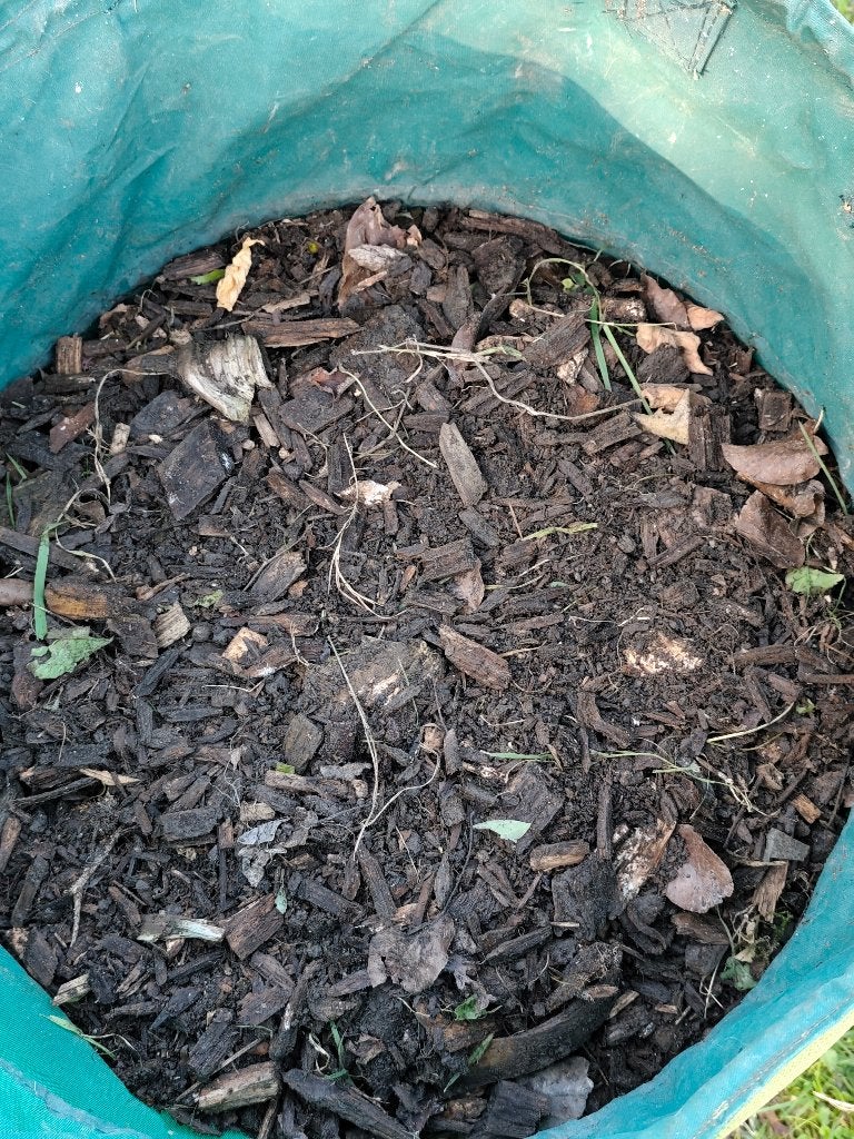 Copeaux de bois, Jardin & Terrasse, Enlèvement, Écorce de pin
