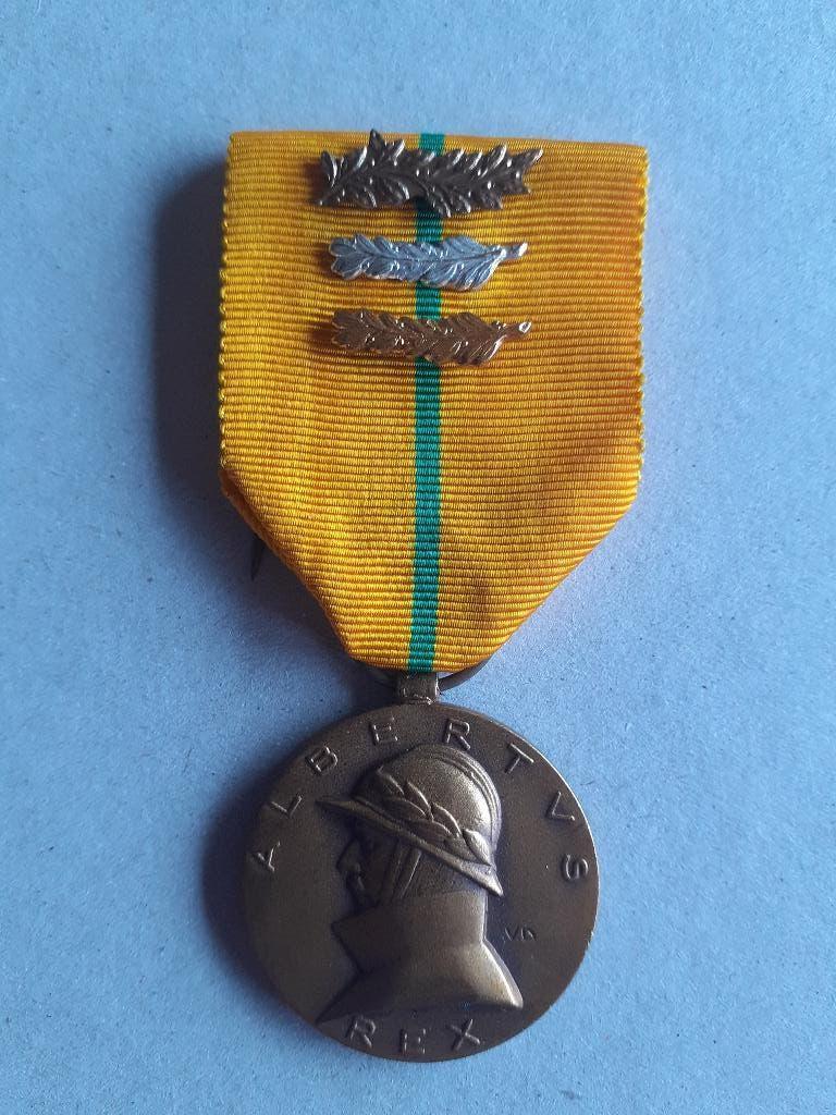 Insigne d'honneur d'Albertus Rex (rare), Enlèvement, Bronze
