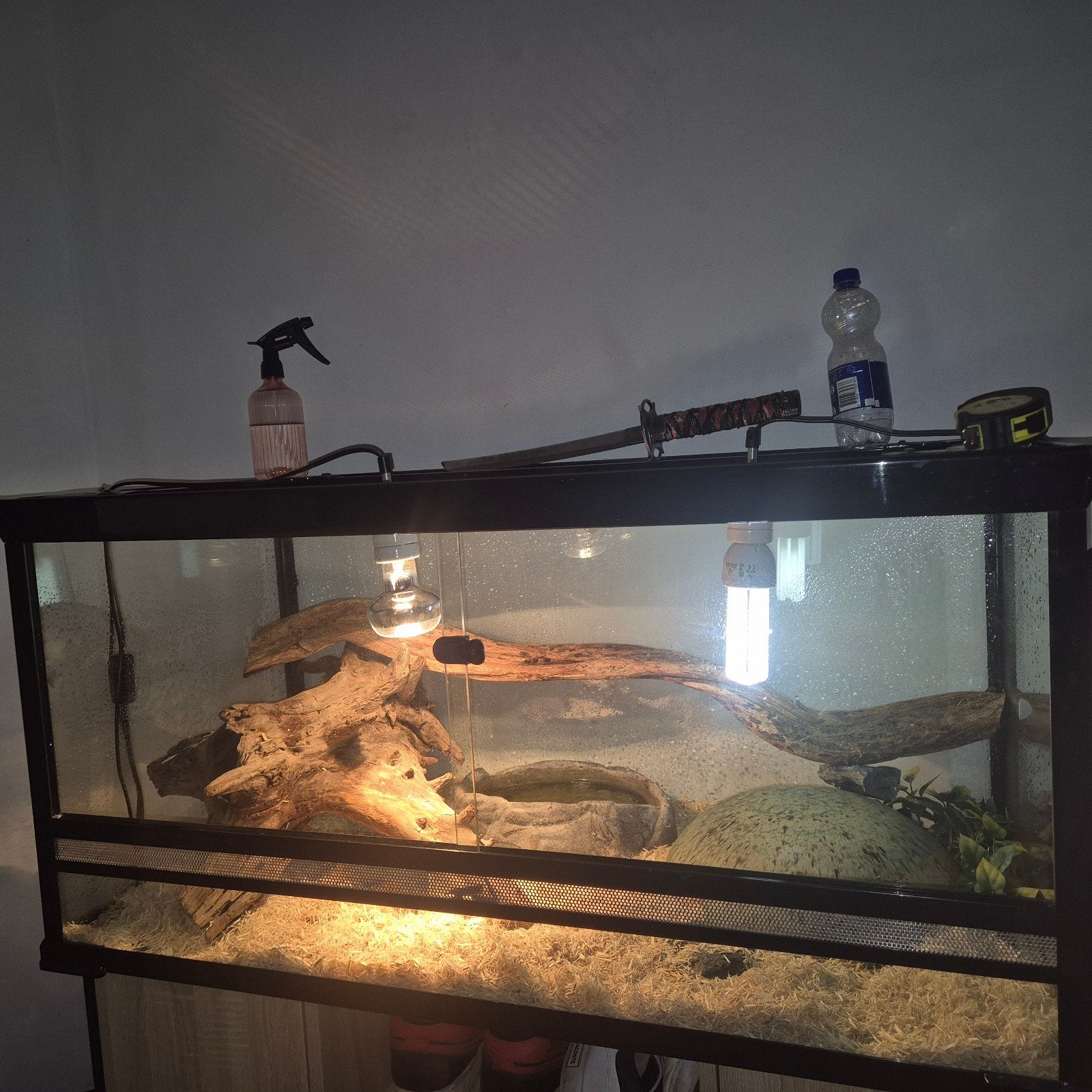 terrarium, Animaux & Accessoires, Enlèvement, Comme neuf, Terrarium ou Paludarium